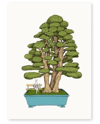 'Bonsai' A4 Limited Edition Art Print