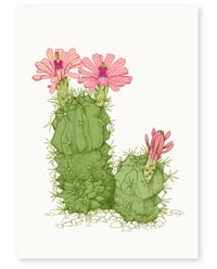 Image 1 of 'Desert Flower' Limited Edition Art Print 