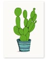 'Bunny Ears Cactus' A4 Limited Edition Art Print