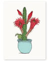 'Cactus Pot' A4 Limited Edition Art Print