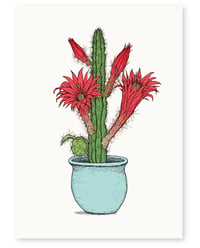 'Cactus Pot' A4 Limited Edition Art Print