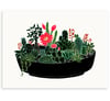 'Black Cactus' Limited Edition Art Print