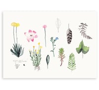 'Botanical' Art Print