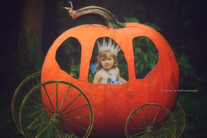 Image of Pumpkin Carriage Overlay