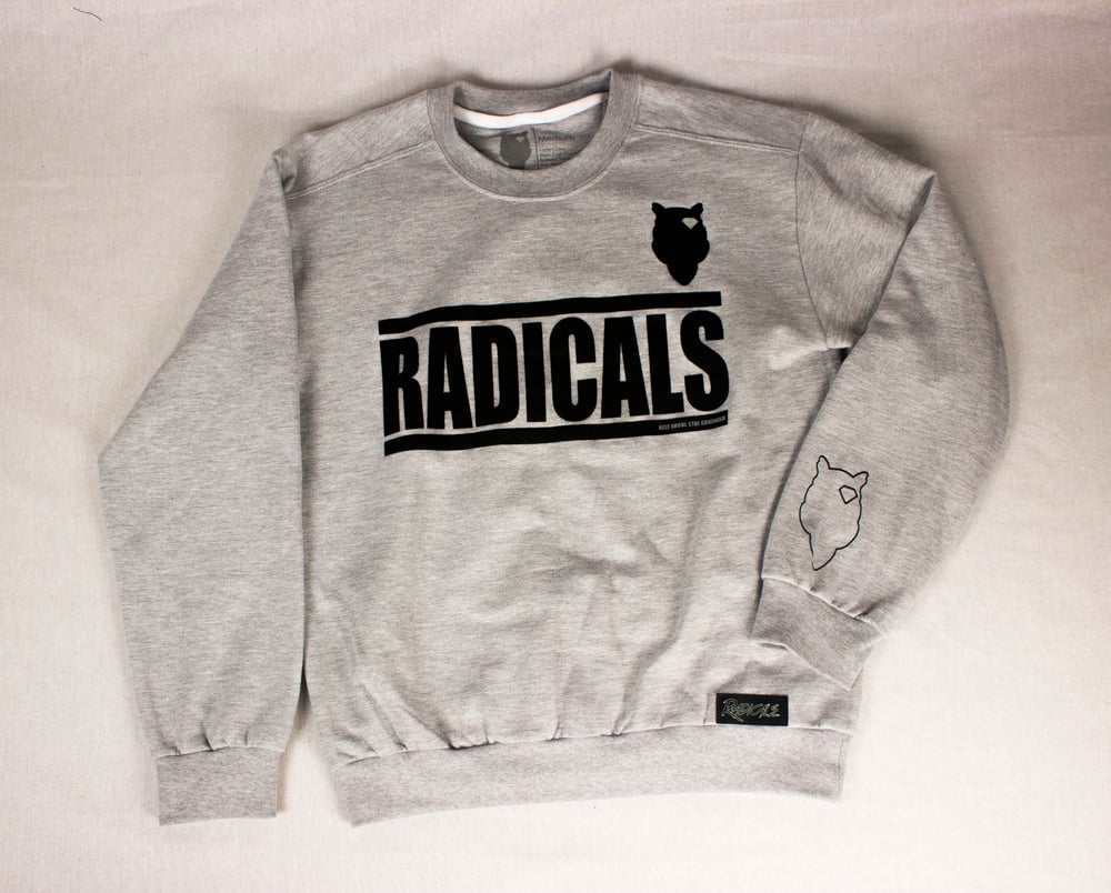 Image of Radicals Crew
