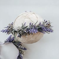 Image 4 of Lavender Halo