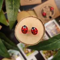 Image 3 of Kolczyki wkrętki z biedronką 🐞