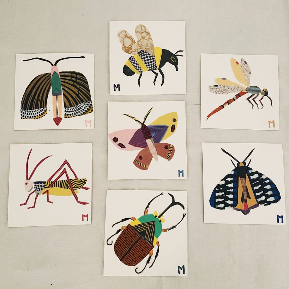 Image of square collage / insectes 