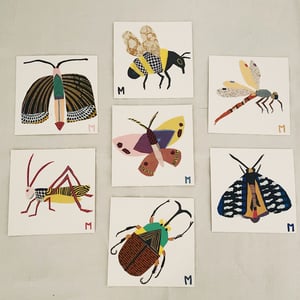 Image of square collage / insectes 