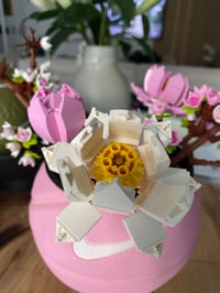 Image 2 of LEGO PLANTSBALL by BALLBAG