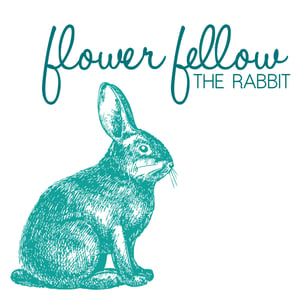 Image of Flowe Fellow's New EP 'The Rabbit' CD