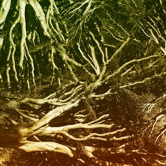 Image of Gottwax EP2