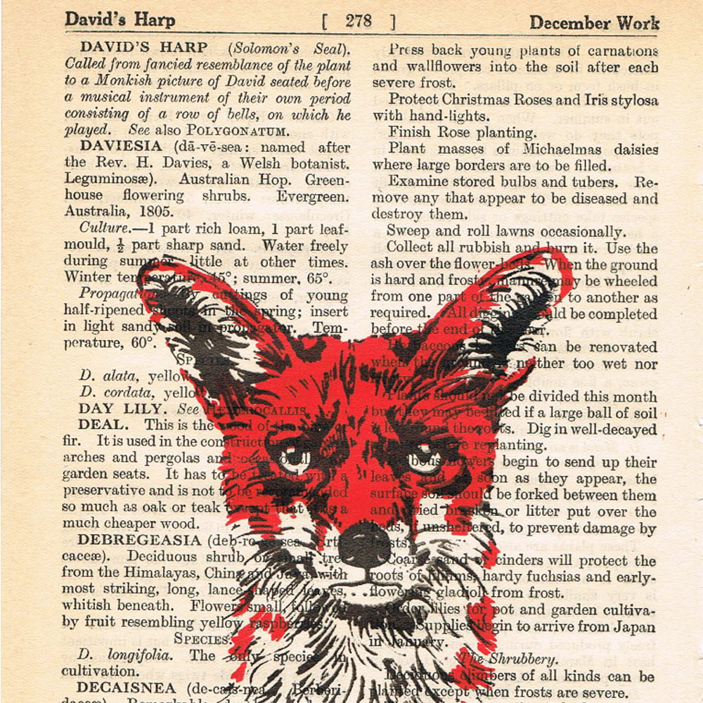 Image of PAGES FOX 