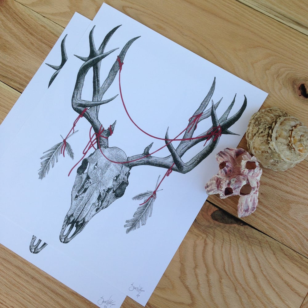 Image of Deer Skull Print