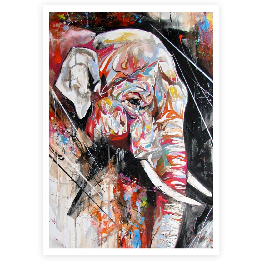 "Indian Elephant" OPEN EDITION PRINT ON FINE ART PAPER Free Worldwide Shipping