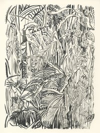 The Daintree screen print