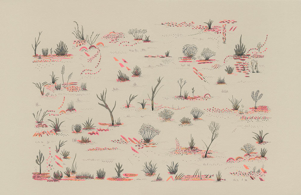 Image of Desert Plants screen print