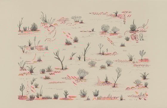 Image of Desert Plants screen print