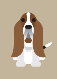 Image 1 of Bassett Hound, Bearded Collie, Bernese, Bichon Collection