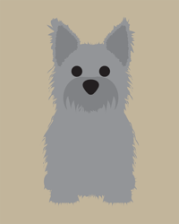 Image 3 of Cairn Terrier Collection