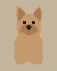 Image 5 of Cairn Terrier Collection
