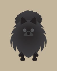 Image 1 of Pomeranian Collection 