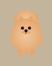 Image 2 of Pomeranian Collection 