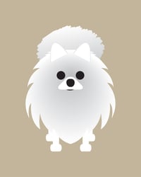Image 3 of Pomeranian Collection 