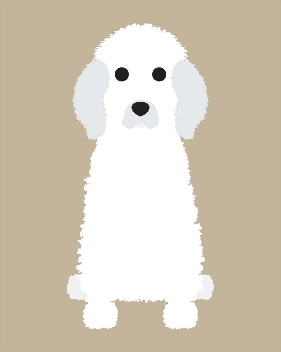 Poodle (Standard) Collection
