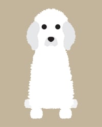 Image 4 of Poodle (Standard) Collection