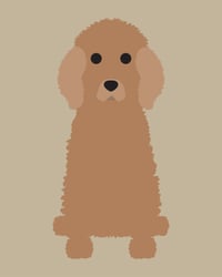 Image 2 of Poodle (Standard) Collection