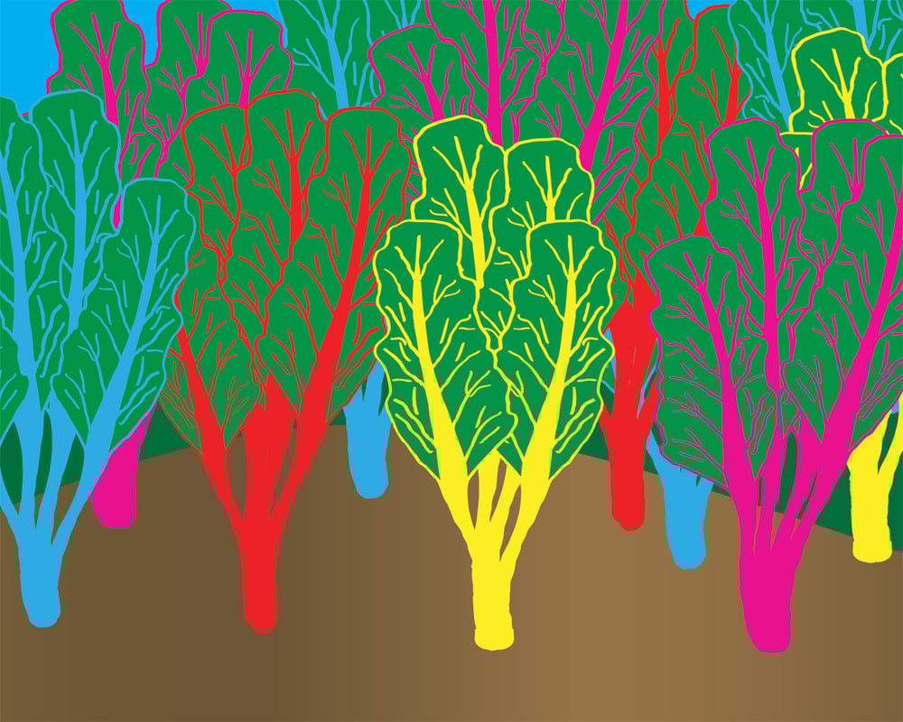 Veggies Collection