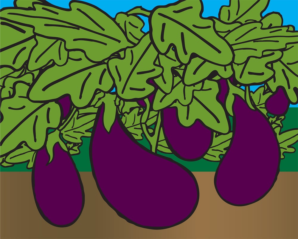Veggies Collection