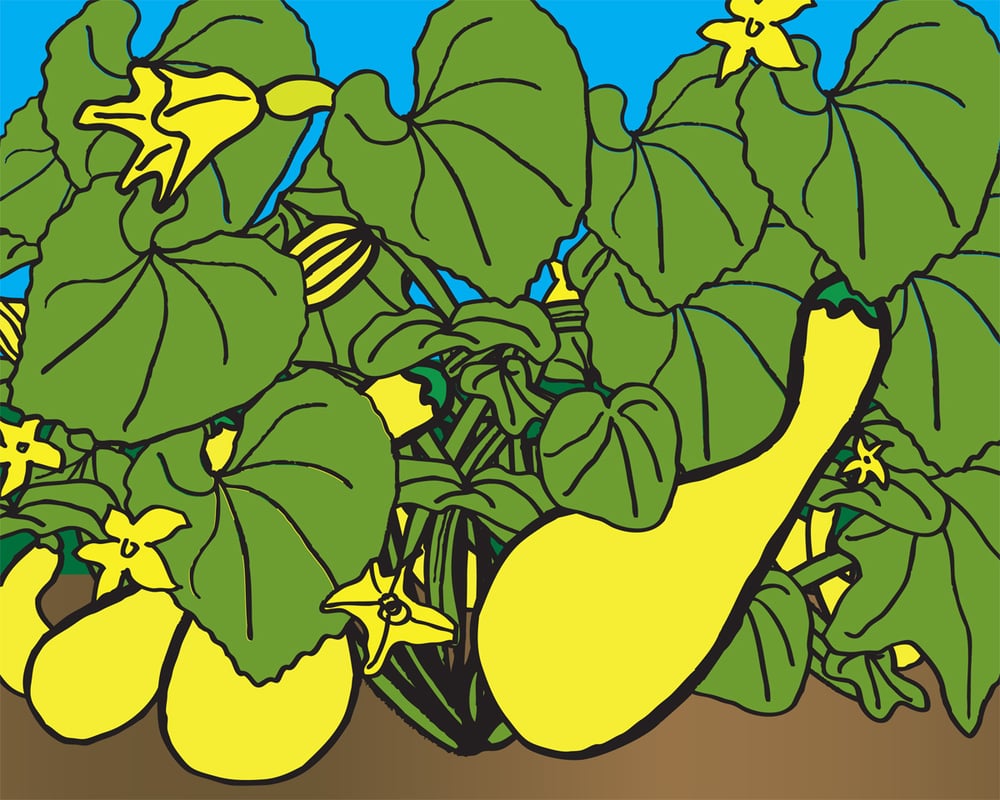 Veggies Collection