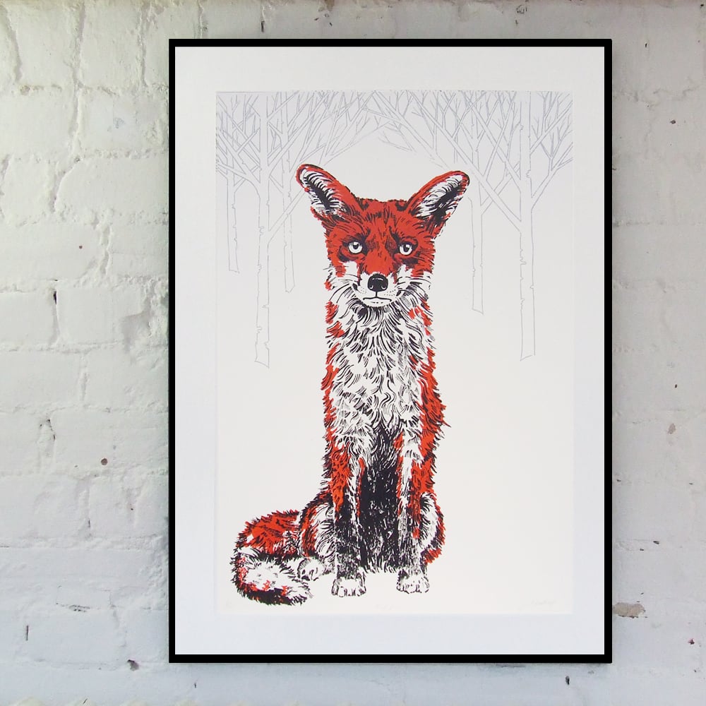 Image of RED FOX