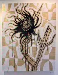 Image 1 of Cereus cactus