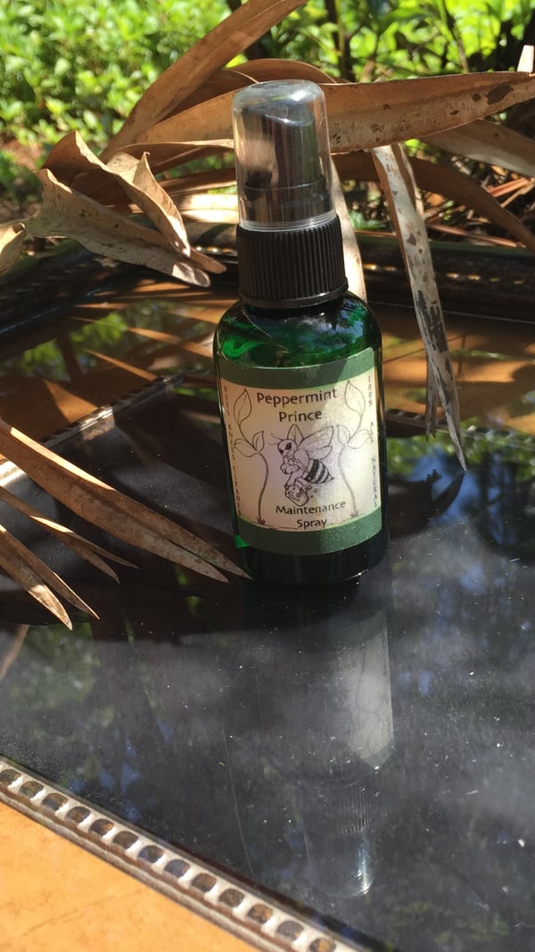 Image of Peppermint Prince- Daily DeStink Spray