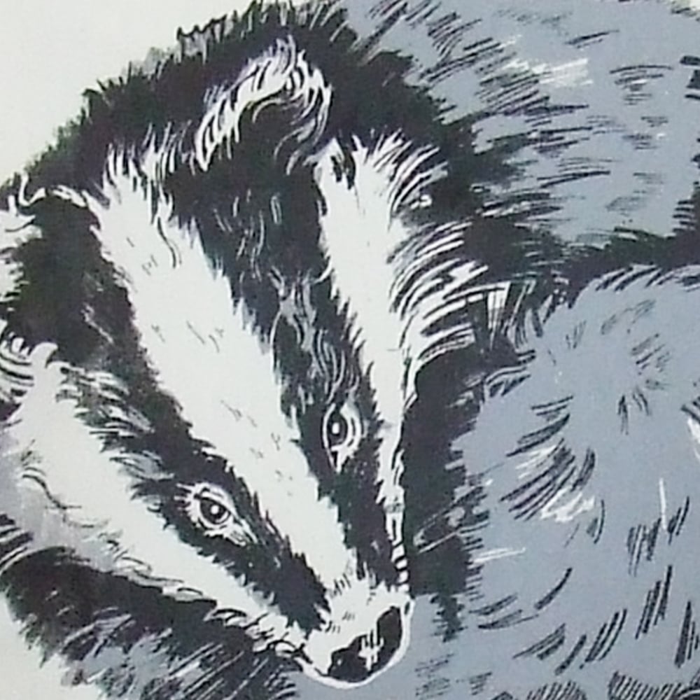 Image of RESTING BADGER CUSHION, CALICO