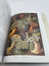 Image 3 of The Art and Science of Ernst Haeckel. 45th Ed.