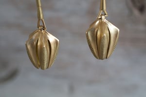 Image of Pentagon Nut Earrings