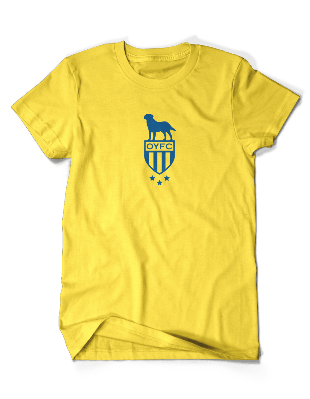 Image of 2010 OYFC Logo Tee
