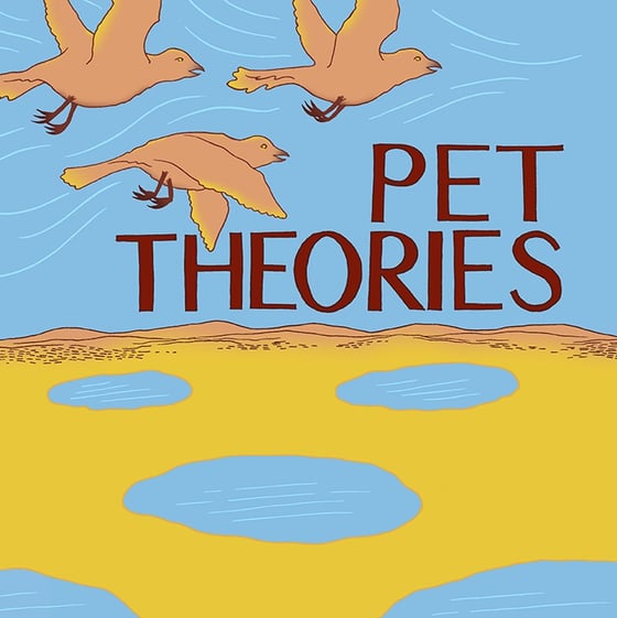 Image of Pet Theories self-titled debut album