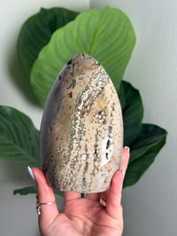 Image 4 of SEA JASPER FREEFORM -MADAGASCAR- F
