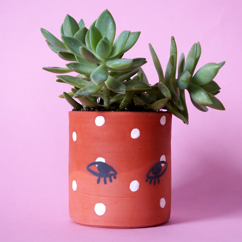 Image of Freckle Face Planter