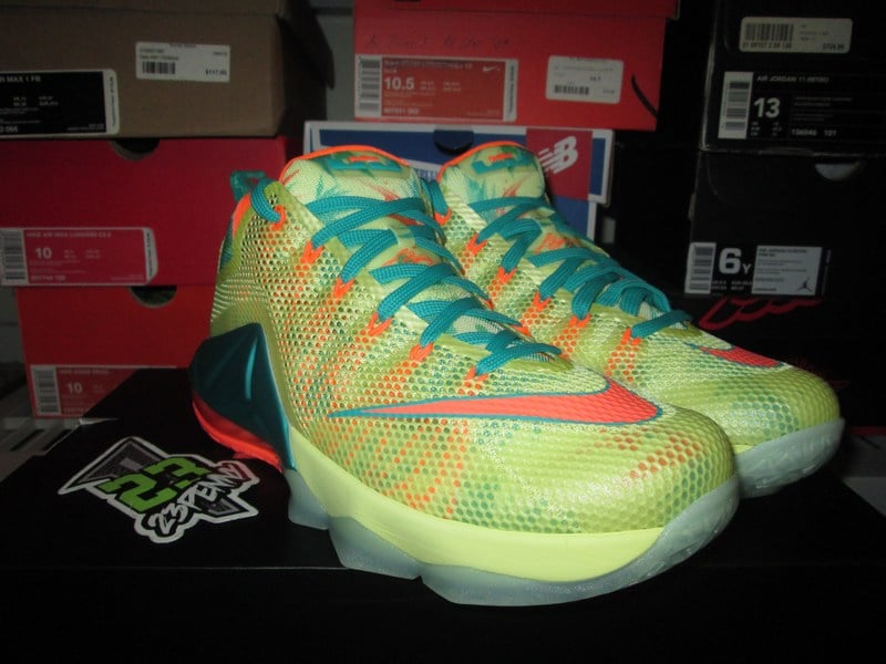 lebronold palmer 12