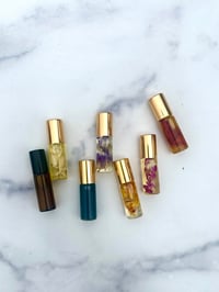 Perfume and Cologne Mini Set