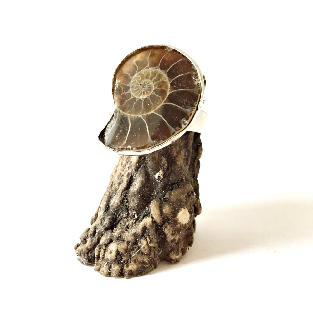 Image of Ammonite Cameo Ring