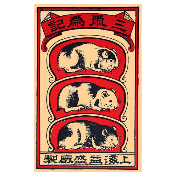 Image of MATCHBOX GUINEA PIG