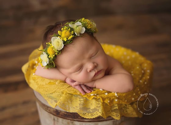 Image of MOSS HALO/TIEBACK