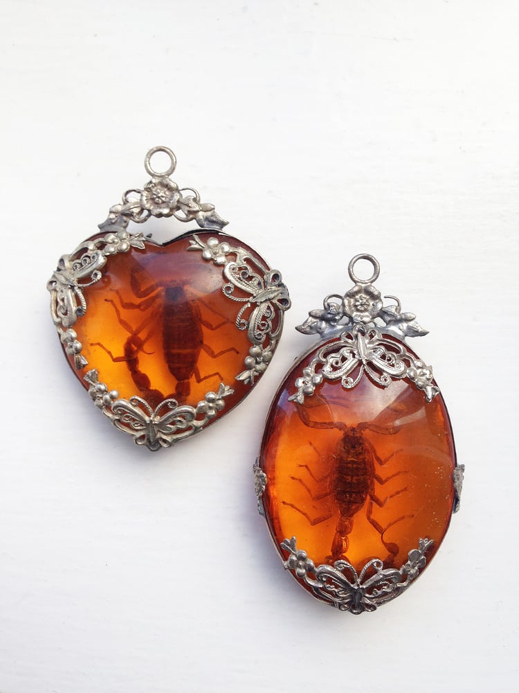 Image of Scorpion Curio Pendant